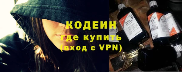 трава Белокуриха