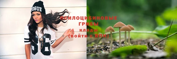 spice Белоозёрский