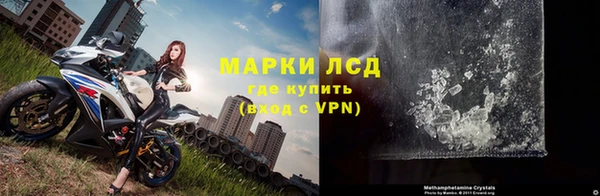 трава Белокуриха